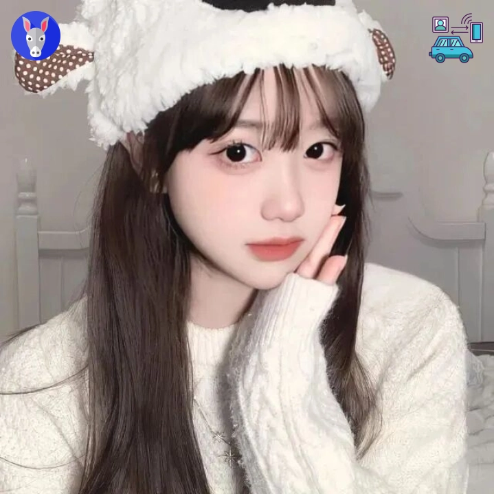 苏先生